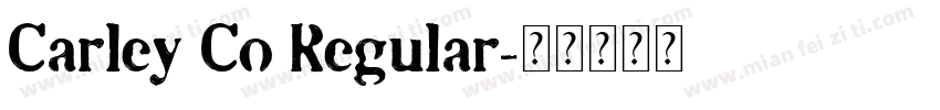 Carley Co Regular字体转换